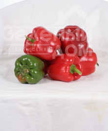 Насіння солодкого перцю Геркулес F1 / Hercules F1,75 днів купити оптом і в роздріб в Україні за вигідною ціною