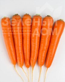 Насіння моркви Натіва F1 / Nativa F1, 95 днів купити оптом і в роздріб в Україні за вигідною ціною