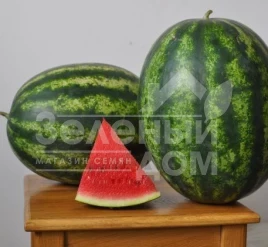 Семена арбуза Мисон F1 / Mison F1 купить оптом и в розницу в Украине по выгодной цене