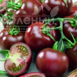 Семена томатов Брунито F1 / Brunito F1, 70-80 дней купить оптом и в розницу в Украине по выгодной цене