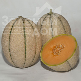 Насіння дині Массімо F1 / Massimo F1, 75-85 днів купити оптом і в роздріб в Україні за вигідною ціною