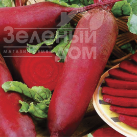 Насіння буряка Циліндра / Cylinder купити оптом і в роздріб в Україні за вигідною ціною