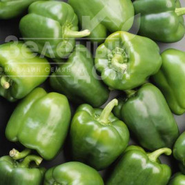 Насіння солодкого перцю Івіца F1 / Ivitsa F1,60-70 днів купити оптом і в роздріб в Україні за вигідною ціною
