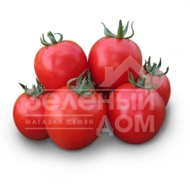 Семена томатов Асвон F1 / Asvon F1,95-100 дней купить оптом и в розницу в Украине по выгодной цене