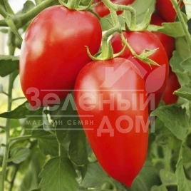 Семена томатов Адель F1 / Adel F1,80-85 дней купить оптом и в розницу в Украине по выгодной цене