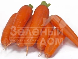 Семена моркови Коралина (ТИ - 134) F1  / TI - 134 F1 (Coralina) купить оптом и в розницу в Украине по выгодной цене