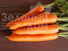 Насіння моркви Кларіс F1 / Klaris F1, 135-170 днів купити оптом і в роздріб в Україні за вигідною ціною