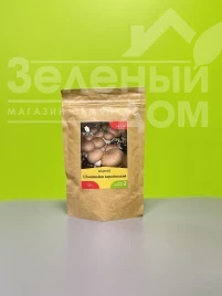 Мицелий грибов  Шампиньйон королевский купить оптом и в розницу в Украине по выгодной цене