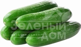 Семена огурцов Мева F1 / Mewa F1,40 дней купить оптом и в розницу в Украине по выгодной цене