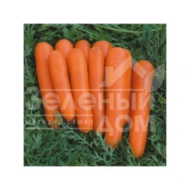 Семена моркови Аттилио F1 / Attilio F1,115-125 дней купить оптом и в розницу в Украине по выгодной цене