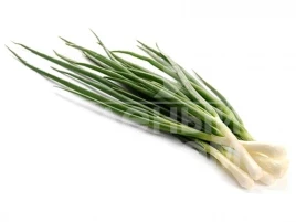Лук на перо Герда / Gerda,65-70 дней купить оптом и в розницу в Украине по выгодной цене