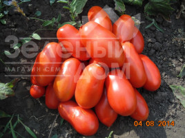 Насіння томатів Сан Парадайс F1 / Sun Paradise F1, 110-115 днів купити оптом і в роздріб в Україні за вигідною ціною