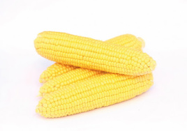 Насіння кукурудзи Хан F1 / Han F1,70-75 днів купити оптом і в роздріб в Україні за вигідною ціною