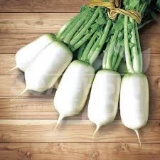 Семена редьки Спринг Фейвор F1 / Spring Favor F1,40-45 дней купить оптом и в розницу в Украине по выгодной цене