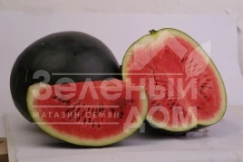 Семена арбуза Туманец F1 / Tumanec F1 купить оптом и в розницу в Украине по выгодной цене