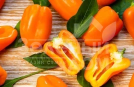 Семена сладкого перца Гамик / Hamik,80-90 дней купить оптом и в розницу в Украине по выгодной цене