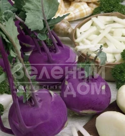 Семена капусты кольраби Модрава F1 / Modrava F1,40-50 дней купить оптом и в розницу в Украине по выгодной цене