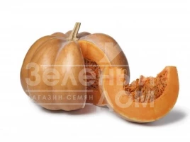 Семена тыквы Мускат де Прованс / Muskat de Provans,115-120 дней купить оптом и в розницу в Украине по выгодной цене
