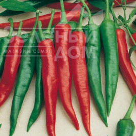 Насіння солодкого перцю Корал Зел / Koral Zyel, 70-80 днів купити оптом і в роздріб в Україні за вигідною ціною