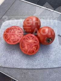 Насіння томатів Хард Рок F1 / Hard Rok F1, 110 днів купити оптом і в роздріб в Україні за вигідною ціною