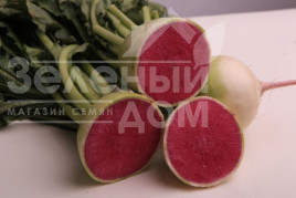 Насіння редьки Пінкі Мерікол / Pinky Merikol купити оптом і в роздріб в Україні за вигідною ціною