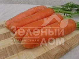 Семена моркови Берлика F1 / Berlika F1,105-110 дней купить оптом и в розницу в Украине по выгодной цене