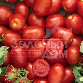 Семена томатов Уссар F1 / Ussar F1,115-120 дней купить оптом и в розницу в Украине по выгодной цене