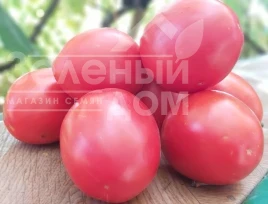 Насіння томату Джолі F1 / Jolly F1, 70-75 днів купити оптом і в роздріб в Україні за вигідною ціною