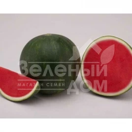 Семена арбуза Линкс F1 / Links F1 купить оптом и в розницу в Украине по выгодной цене