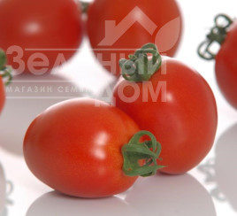 Насіння томатів Буена Віста F1 / Buena Vista F1, 65-70 днів купити оптом і в роздріб в Україні за вигідною ціною