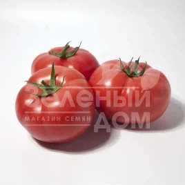 Семена томатов КС 1157 F1 / KS 1157 F1 купить оптом и в розницу в Украине по выгодной цене