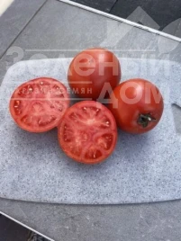 Семена томатов Хард Рок F1 / Hard Rok F1, 110 дней купить оптом и в розницу в Украине по выгодной цене