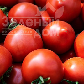 Насіння томатів Мелонет F1 / Melonet F1 купити оптом і в роздріб в Україні за вигідною ціною