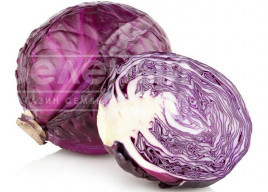 Насіння капусти червоноголової Редма F1 / Redma F1,80 днів купити оптом і в роздріб в Україні за вигідною ціною