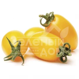 Семена томатов Флоренс F1 / Florence F1, 95-105 дней купить оптом и в розницу в Украине по выгодной цене