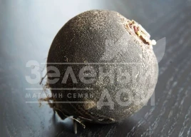 Семена редьки Черная кулата / Kulata,90 дней купить оптом и в розницу в Украине по выгодной цене