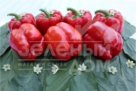 Семена сладкого перца Афина F1 / Afina F1,60-70 дней купить оптом и в розницу в Украине по выгодной цене