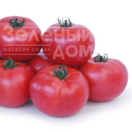Насіння томатів Асано F1 (KS 38 F1) / Asano F1 (KS 38 F1),105-115 днів купити оптом і в роздріб в Україні за вигідною ціною
