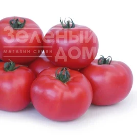 Насіння томату Асано F1 (KS 38 F1) / Asano F1 (KS 38 F1), 105-115 днів купити оптом і в роздріб в Україні за вигідною ціною