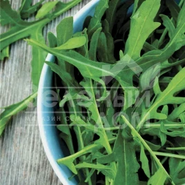 Семена рукколы Экстрема / Extrema, 20-25 дней купить оптом и в розницу в Украине по выгодной цене