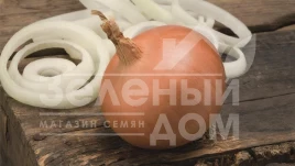 Лук репчатый Бирди F1 / Birdie F1,110-116 дней  купить оптом и в розницу в Украине по выгодной цене