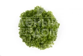 Семена салата Експонент / Exponent купить оптом и в розницу в Украине по выгодной цене