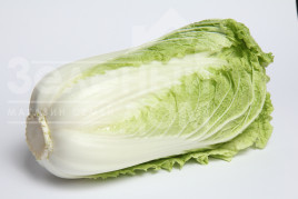 Насіння капусти пекінської Зимородок F1 / Zymorodok F1,55-65 днів купити оптом і в роздріб в Україні за вигідною ціною