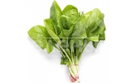 Семена шпината Сильвервейл F1 / Silverwhale F1 купить оптом и в розницу в Украине по выгодной цене