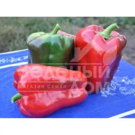 Семена сладкого перца Вивальди F1 / Vivaldi F1,60-62 купить оптом и в розницу в Украине по выгодной цене