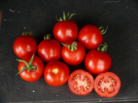 Насіння томатів Партова F1 / Partova F1 купити оптом і в роздріб в Україні за вигідною ціною