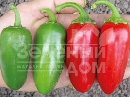 Семена горького перца Форахидо F1 / Forakhido F1 купить оптом и в розницу в Украине по выгодной цене