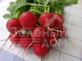 Семена редиса Стела / Stela купить оптом и в розницу в Украине по выгодной цене