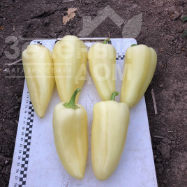 Насіння солодкого перцю Бора F1 / Bora F1,50 днів купити оптом і в роздріб в Україні за вигідною ціною