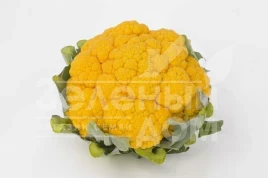 Семена капусты цветной Клементин F1 / Clementine F1, 75-80 дней купить оптом и в розницу в Украине по выгодной цене